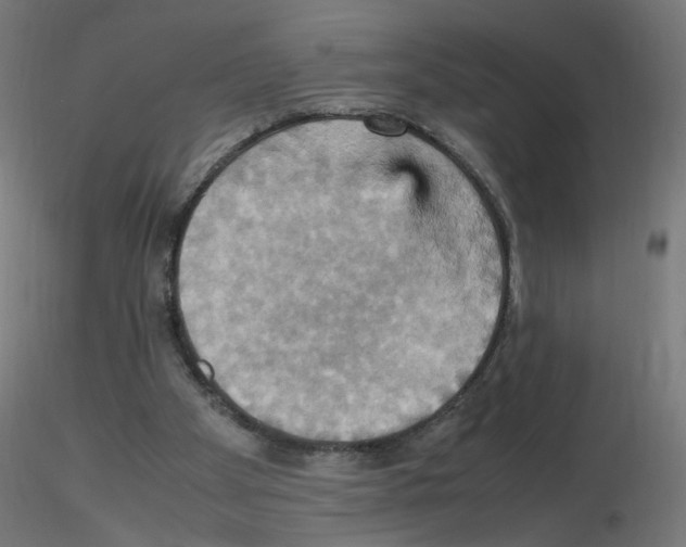 X0000115560105200912181627