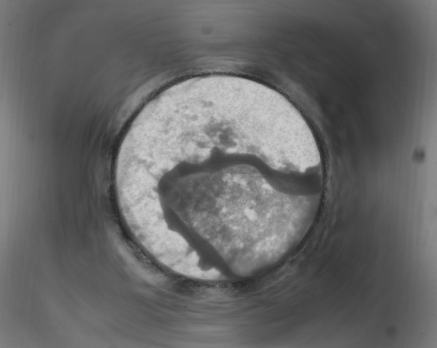 X0000115560107200912181627