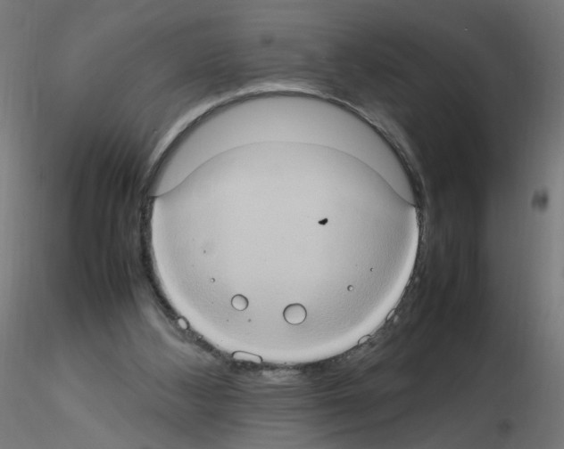 X0000115560108200912181627