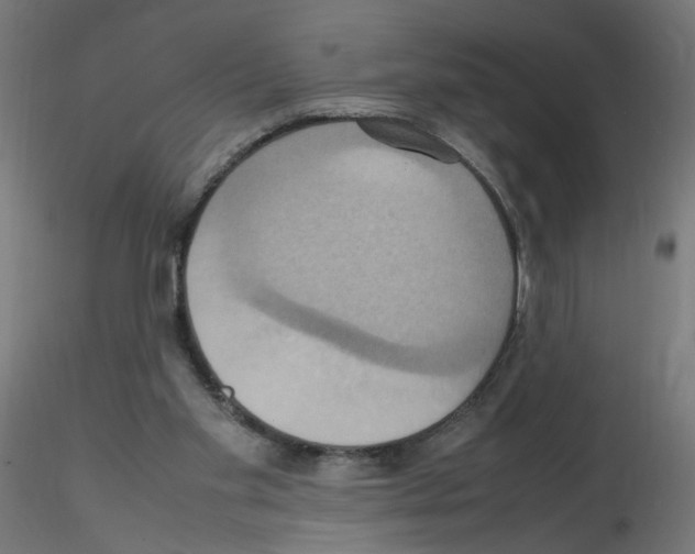 X0000115560109200912181627