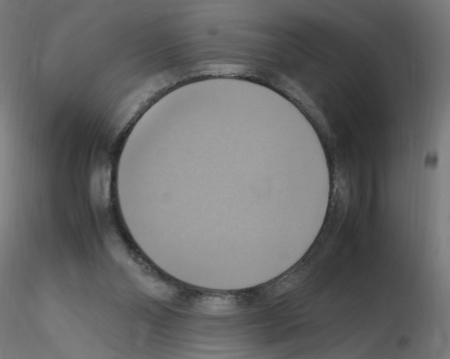 X0000115560110200912181627