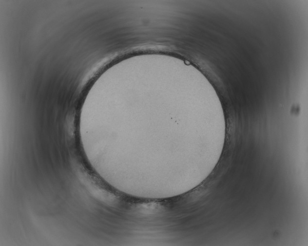 X0000115560112200912181627