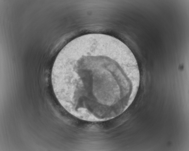 X0000115560115200912181627