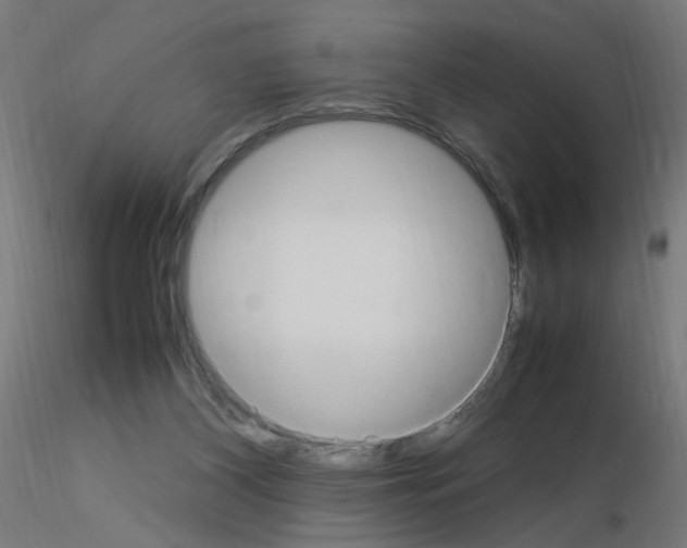 X0000115560116200912181627