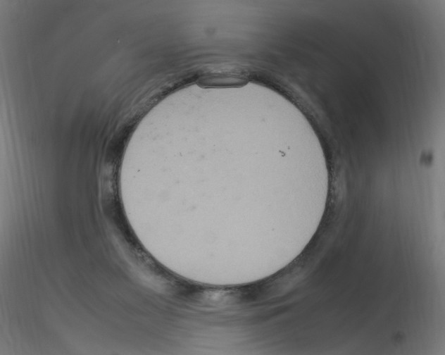 X0000115560117200912181627