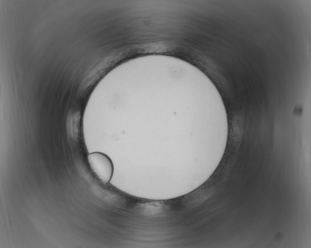 X0000115560118200912181627