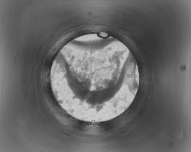 X0000115560119200912181627