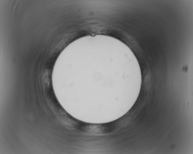 X0000115560121200912181627