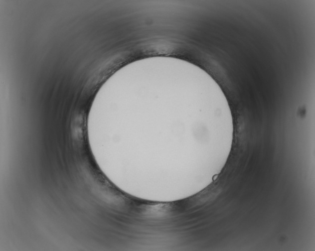 X0000115560122200912181627