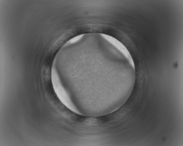 X0000115560123200912181627