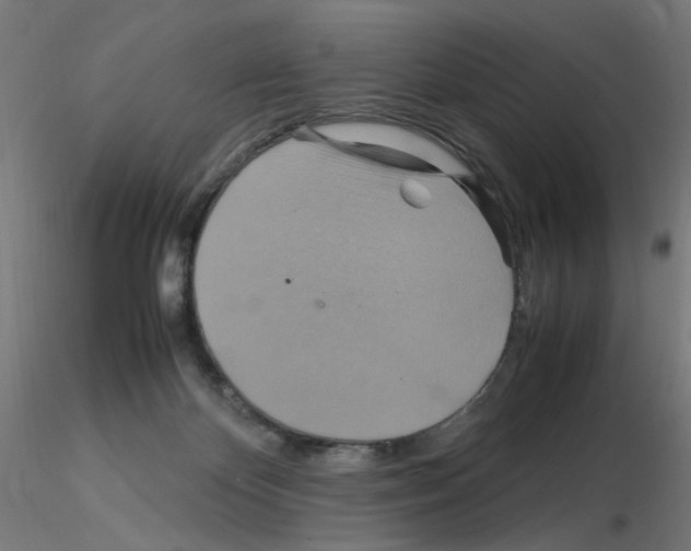 X0000115560124200912181627