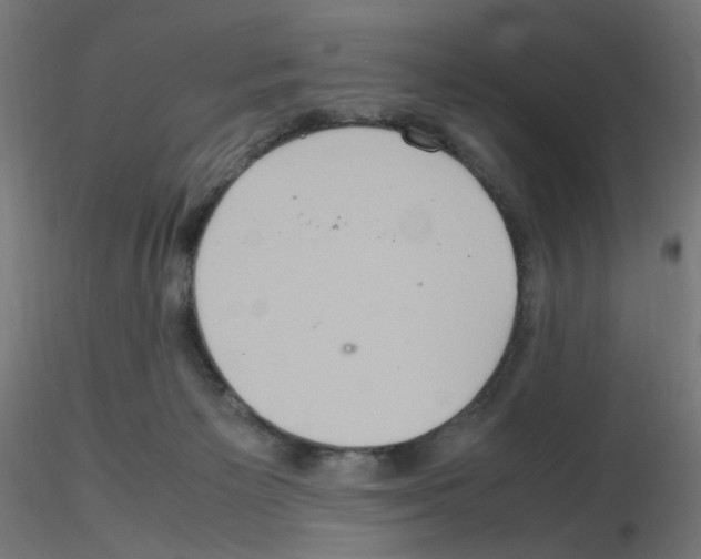 X0000115560125200912181627