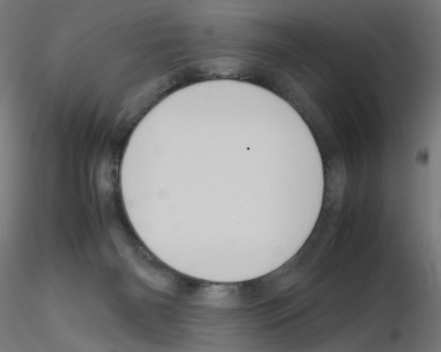 X0000115560126200912181627