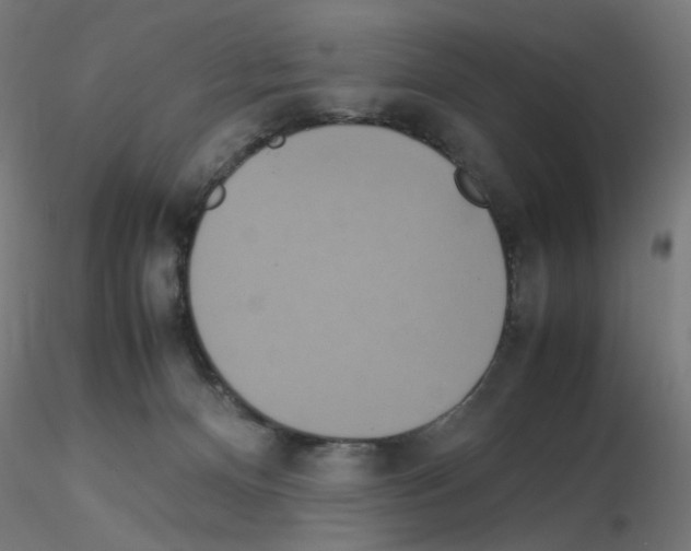 X0000115560128200912181627