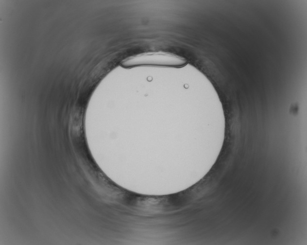 X0000115560129200912181627