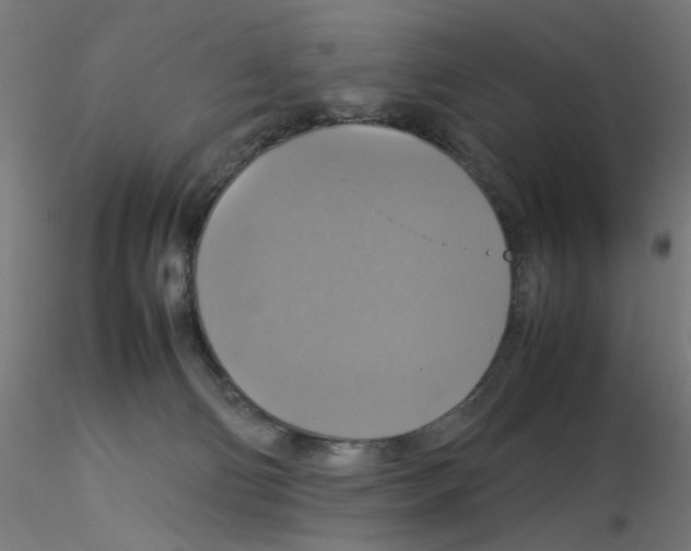 X0000115560130200912181626