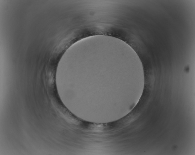 X0000115560131200912181626