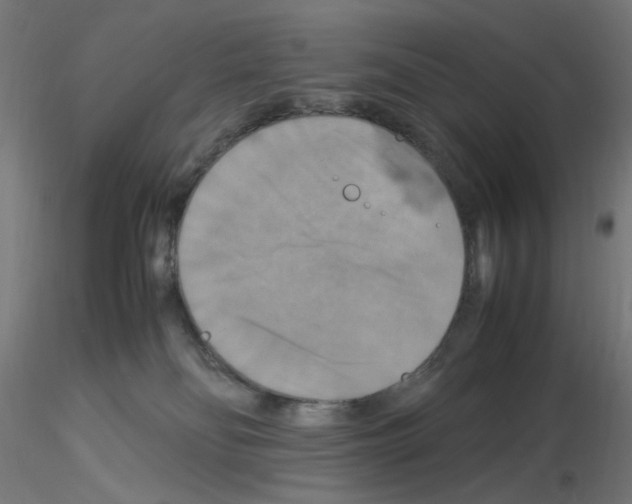 X0000115560134200912181626