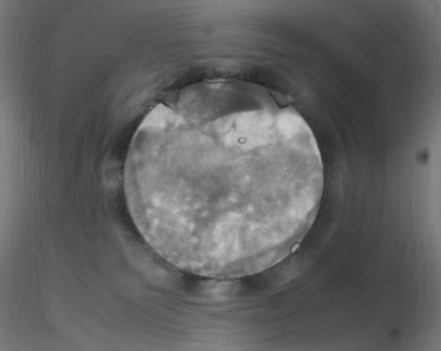 X0000115560135200912181626