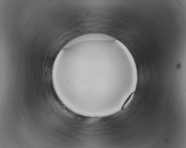 X0000115560136200912181626