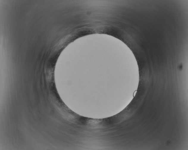 X0000115560139200912181626