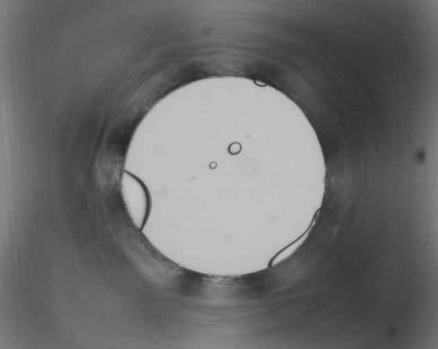 X0000115560141200912181626