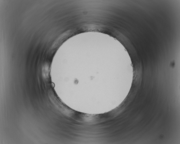 X0000115560142200912181626