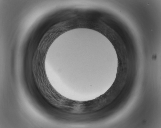 X0000115560143200912181626