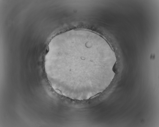 X0000115560144200912181626