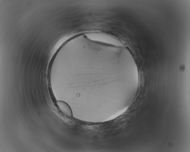 X0000115560147200912181625