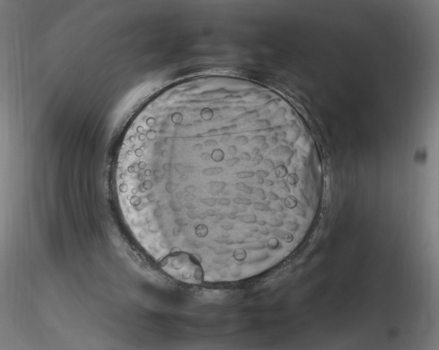 X0000115560149200912181625