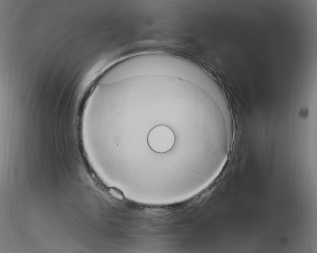 X0000115560150200912181625