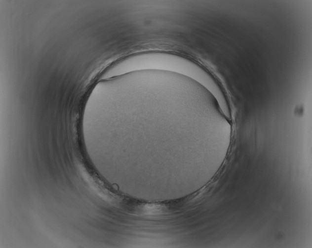 X0000115560154200912181626