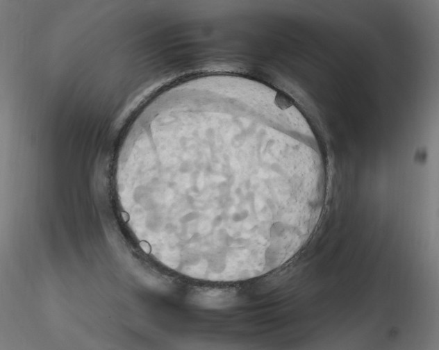 X0000115560155200912181626