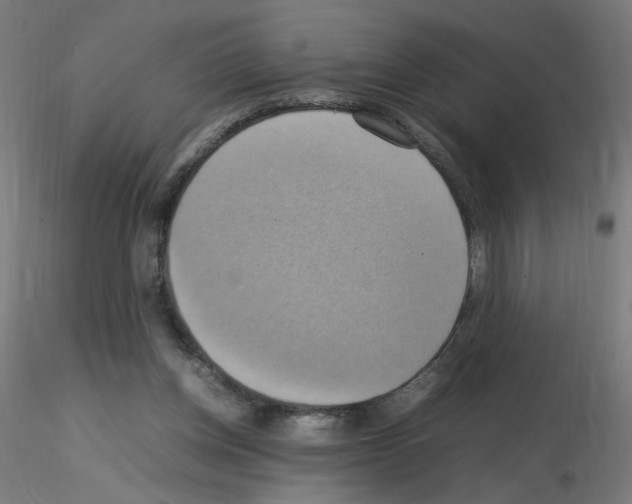 X0000115560158200912181626