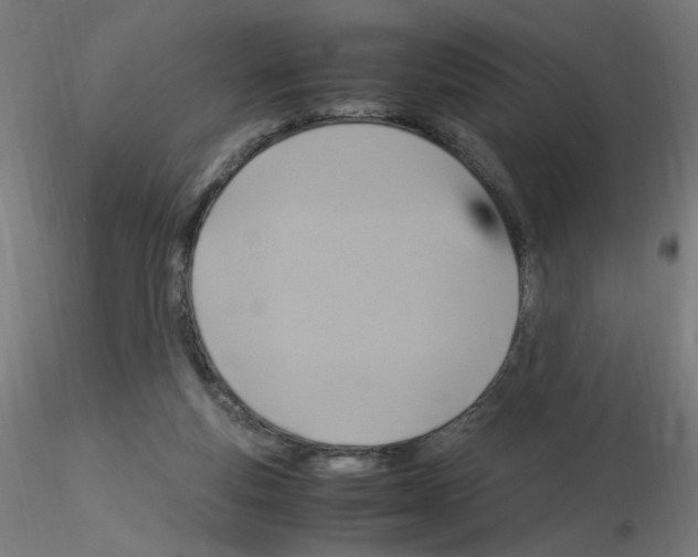 X0000115560163200912181626