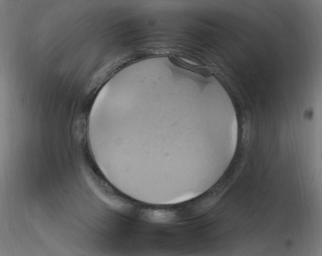 X0000115560165200912181626