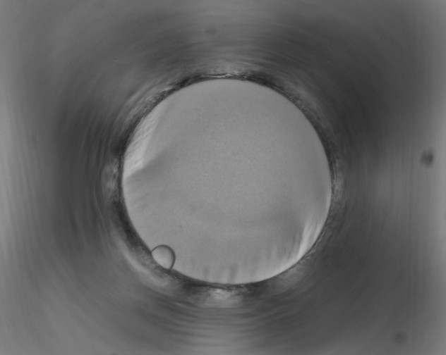 X0000115560166200912181626