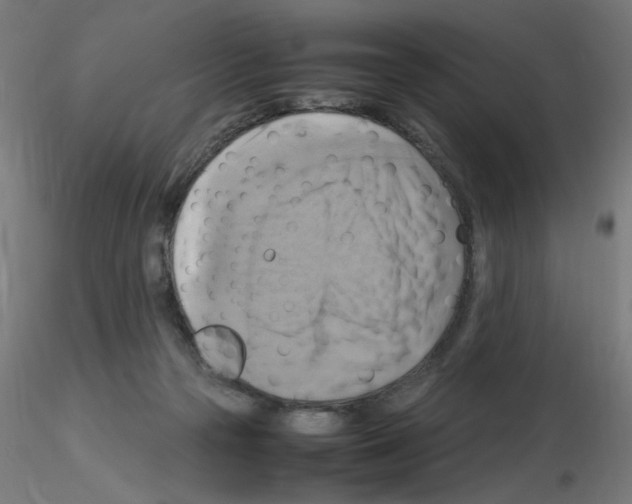 X0000115560169200912181626