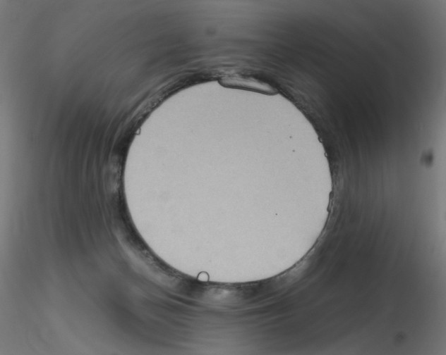 X0000115560174200912181626