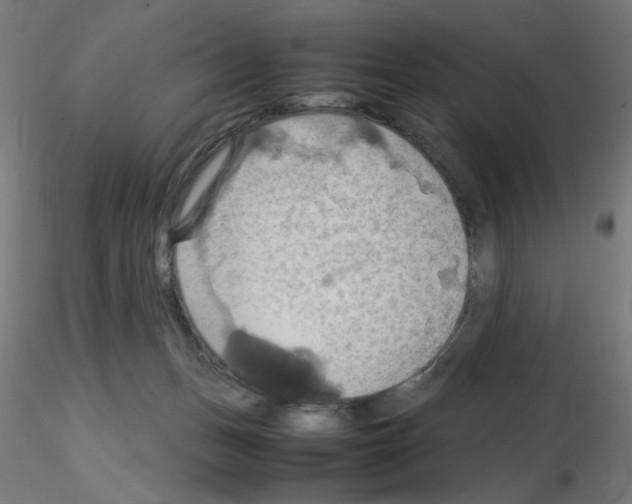 X0000115560175200912181626