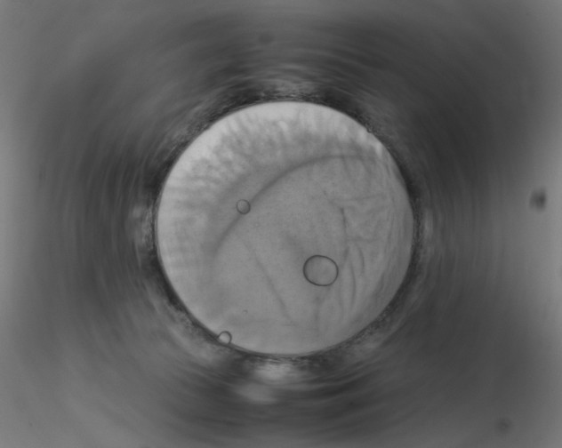 X0000115560177200912181626