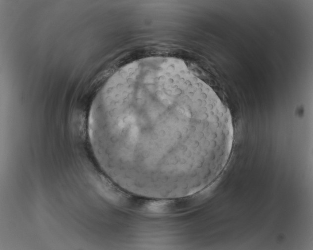 X0000115560178200912181626