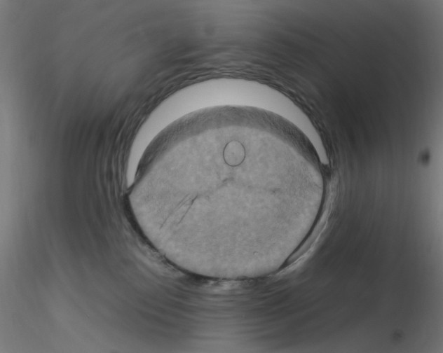 X0000115560186200912181626