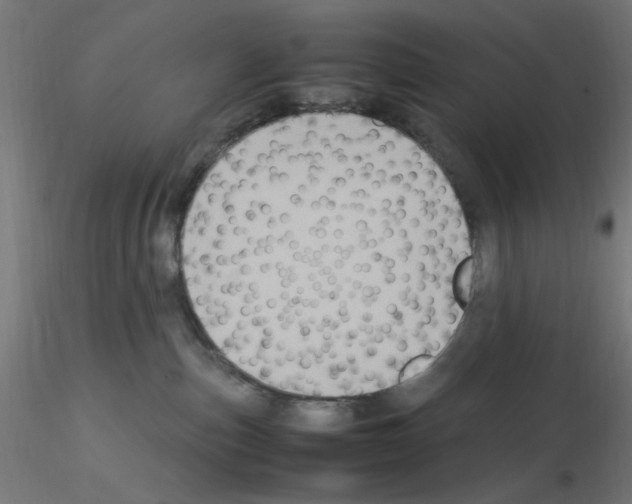 X0000115560187200912181626