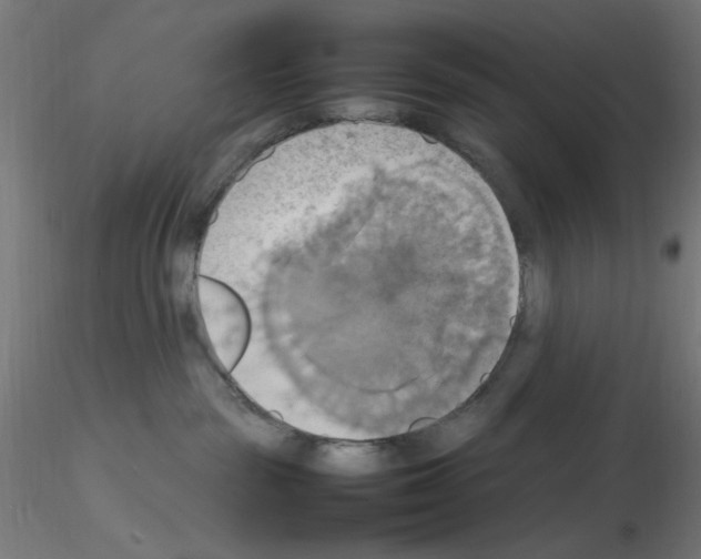 X0000115560189200912181626