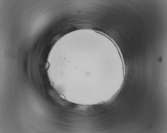 X0000115560190200912181626