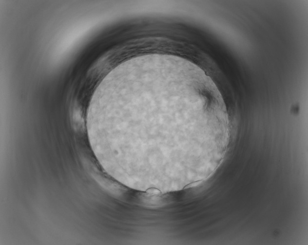 X0000115560191200912181626