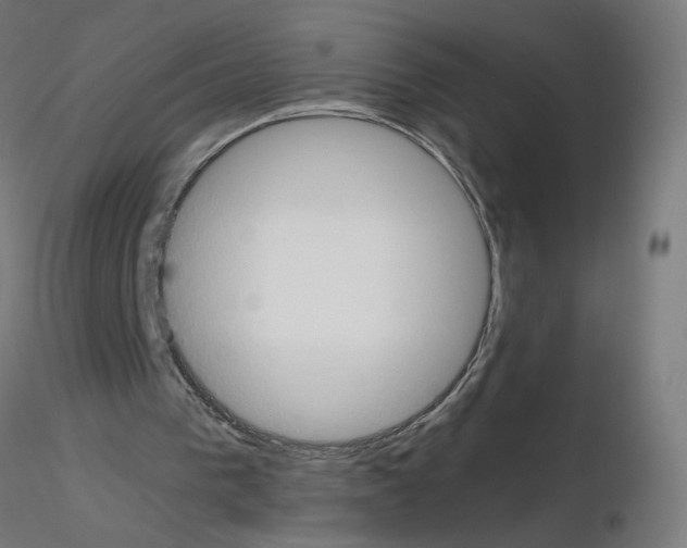 X0000115560193200912181625