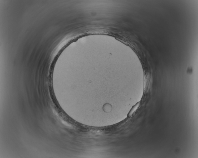 X0000115560195200912181625